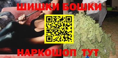 соль ск Лесосибирск