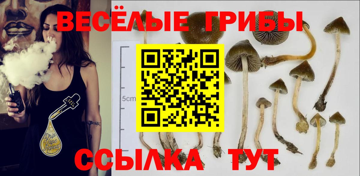 Галлюциногенные грибы ЛСД  Галлюциногенные грибы Psilocybe  Вход с VPN  Карачаевск 